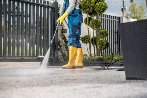 Best Deck Cleaning Services  in Robstown, TX