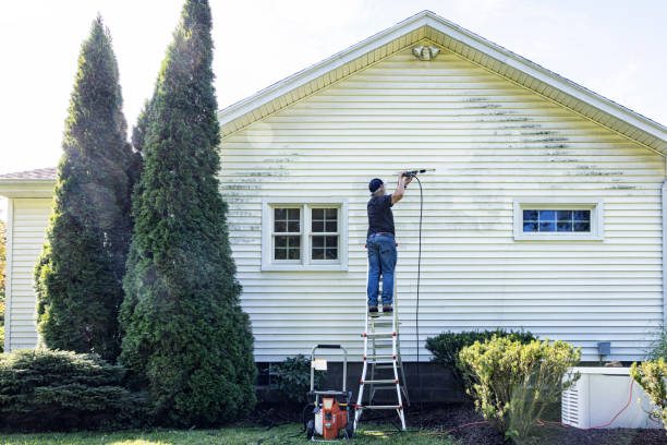 Local Pressure Washing Services in Robstown, TX